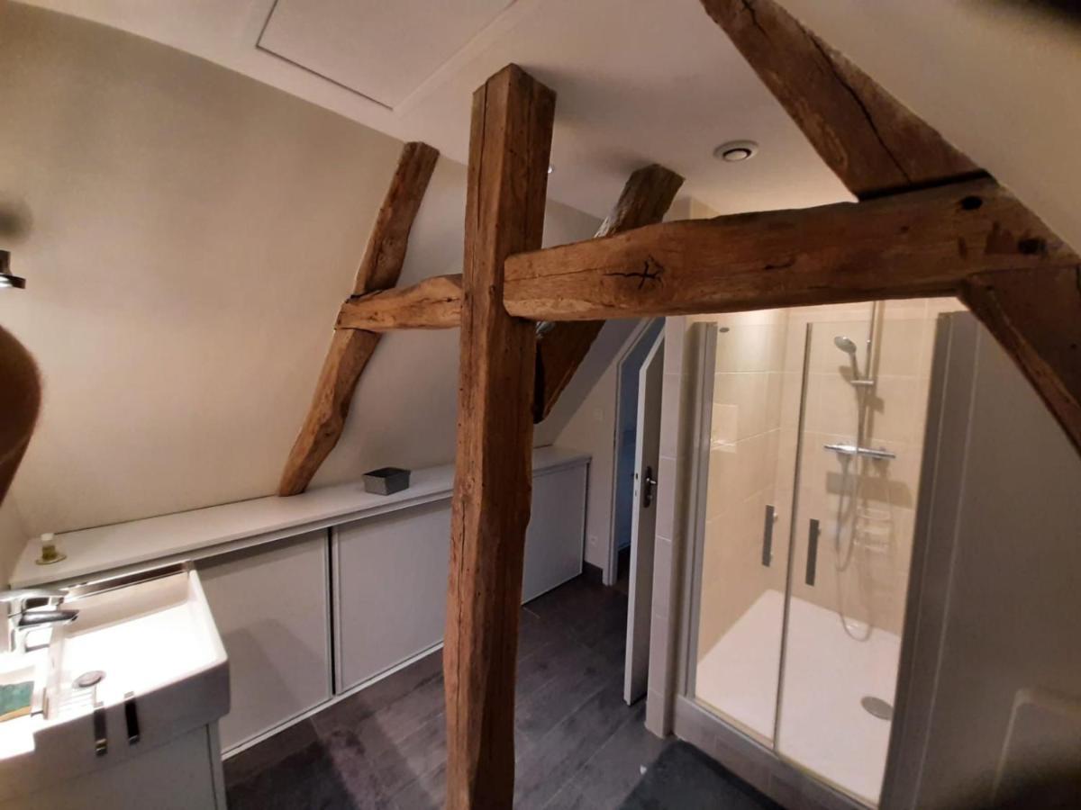 Gite Des Chateaux De La Loire ヴィランドリー エクステリア 写真
